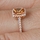 Adela's Champagne Cushion Cut CZ Halo Engagement Ring - Rose Gold