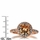 Carrie's 2ct Rose Goldtone and Round Champagne CZ Engagement Ring