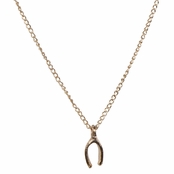 Goldtone Wishbone Charm Necklace: Spend $35 or more Pay One Cent