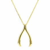 Jennifer's Wishbone Necklace - Goldtone