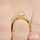 Sage's Goldtone CZ Flower Wedding Ring Set