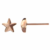 Zaida's Petite Rose Goldtone Star Stud Earrings